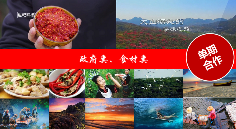政府類(lèi)、食材類(lèi)案例