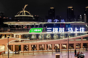 地標(biāo)廣告聯(lián)動(dòng)游輪廣告，三棵樹品牌驚爆上海外灘!