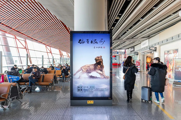 大美中國藝術(shù)展機(jī)場(chǎng)廣告投放案例