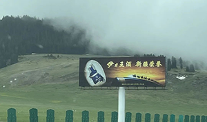 新疆高速立柱大牌廣告案例，烏魯木齊高速?gòu)V告酒類廣告案例