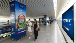 上海地鐵花木路站廣告價(jià)格多少錢？上海地鐵會(huì)展廣告案例亞寵展