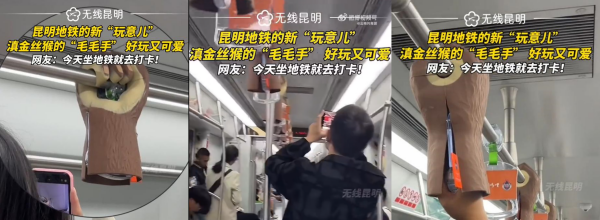 廣告有價(jià)創(chuàng)意無(wú)價(jià)！昆明地鐵拉手廣告爪子戴手套特產(chǎn)貓哆哩案例