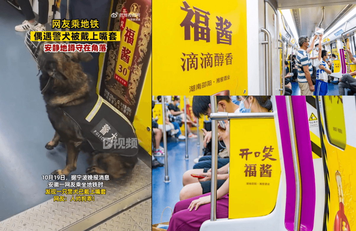 長沙地鐵廣告價(jià)格多少錢？長沙地鐵列車內(nèi)包車廣告全線覆蓋酒案例