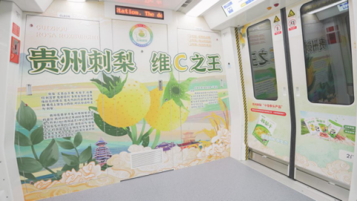 貴陽地鐵廣告特產(chǎn)案例圖，貴陽地鐵廣告內(nèi)包車廣告價(jià)格多少錢？